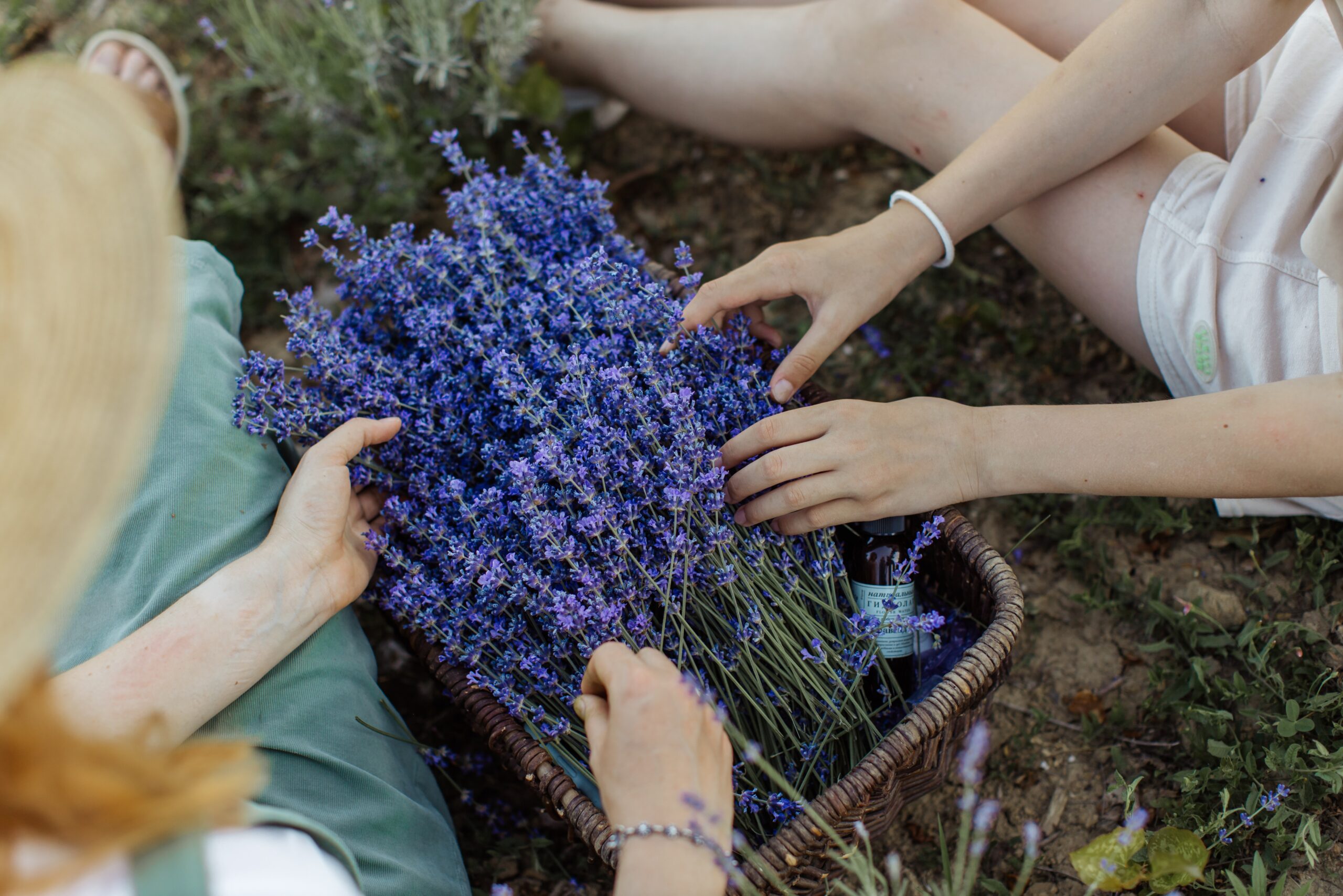 lavender magical properties
