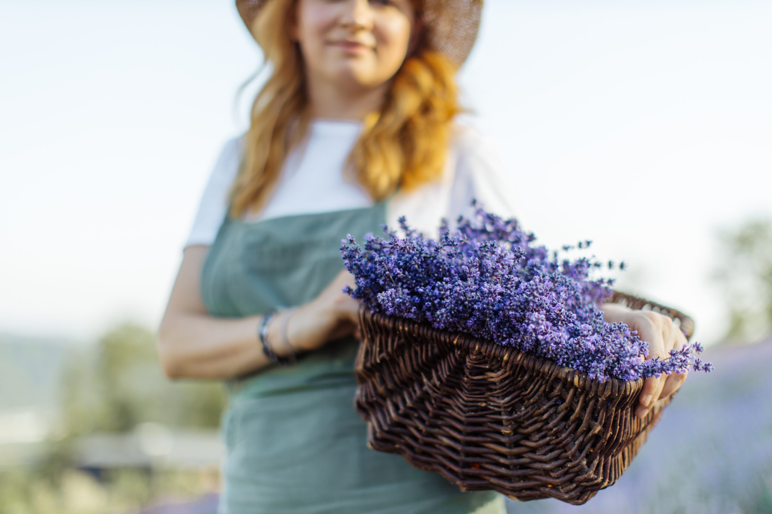 Magical properties of lavender