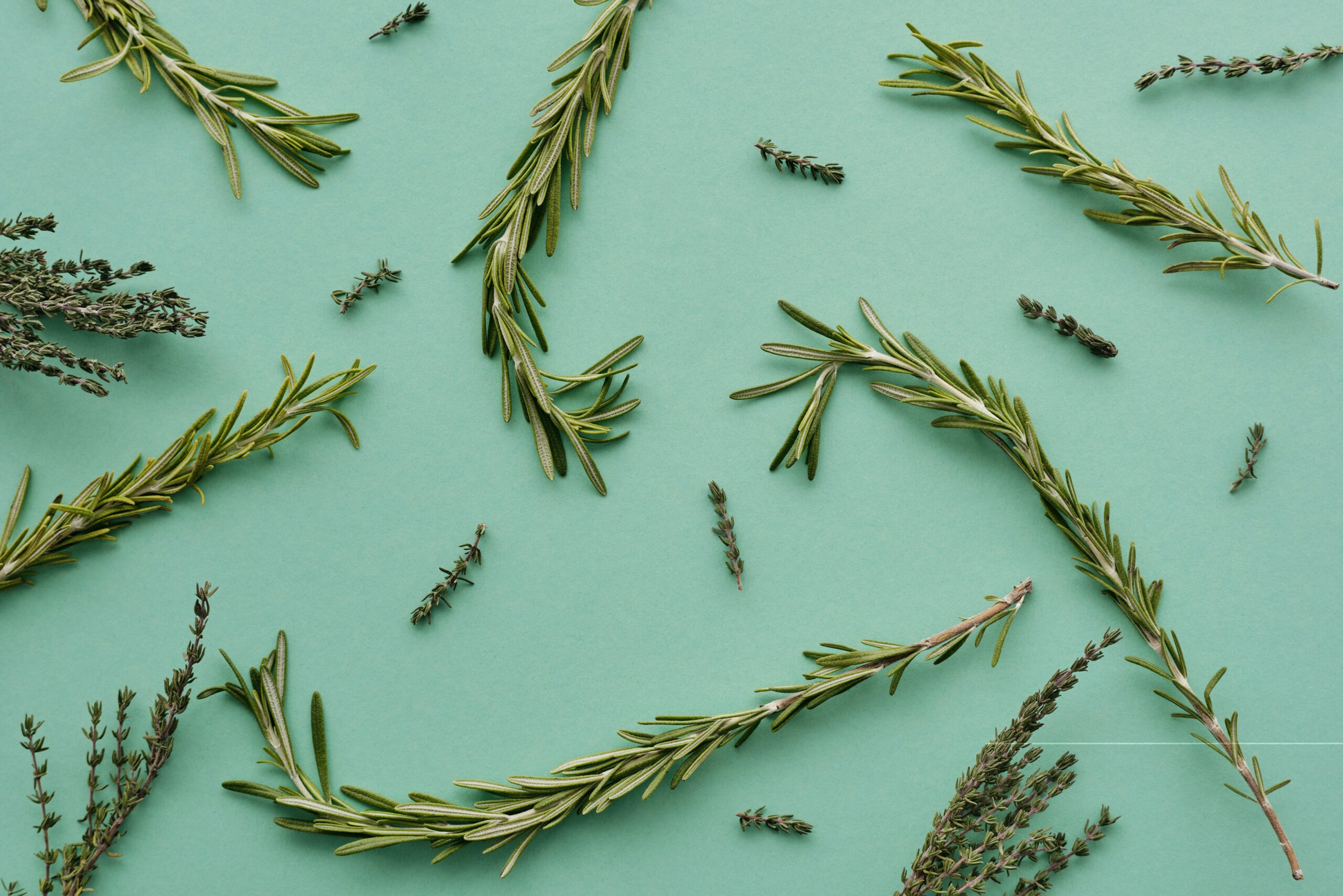 rosemary for protection